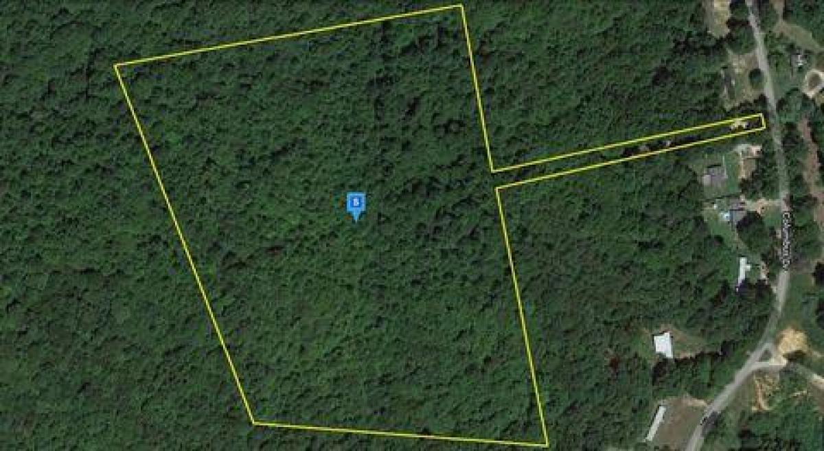 Picture of Residential Land For Sale in Martinsville, Virginia, United States