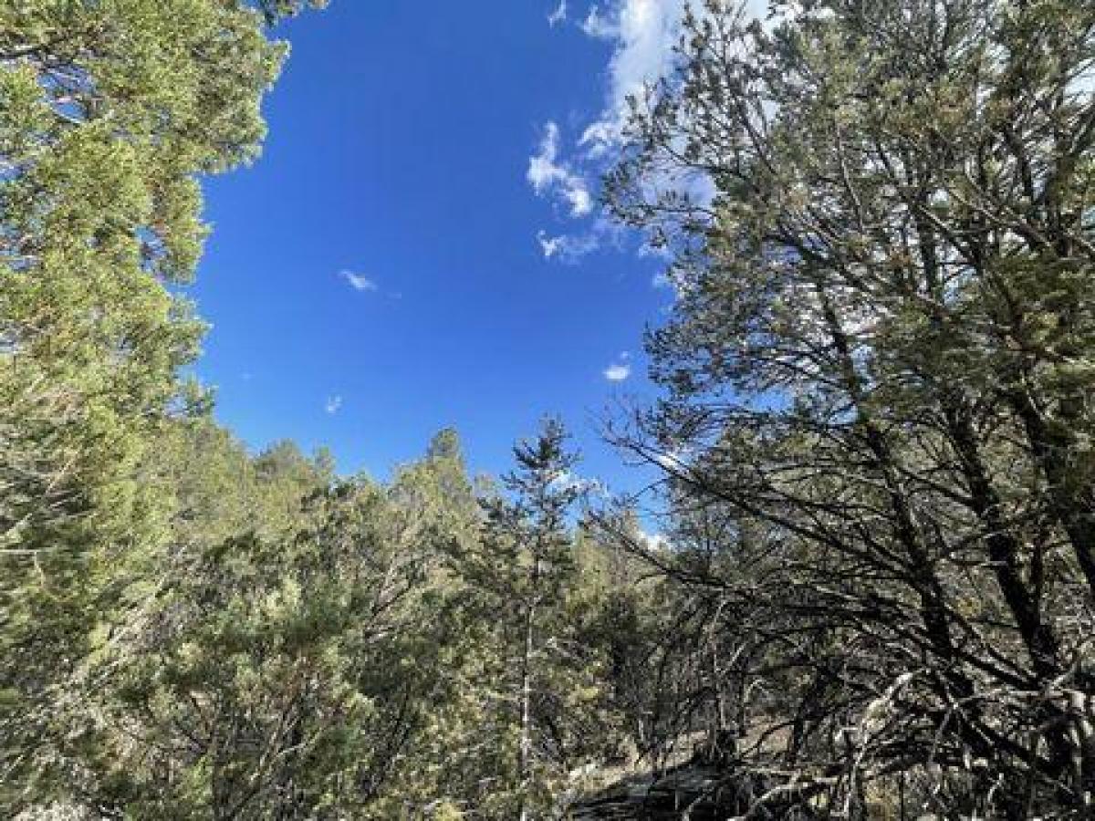 Picture of Residential Land For Sale in Timberon, New Mexico, United States