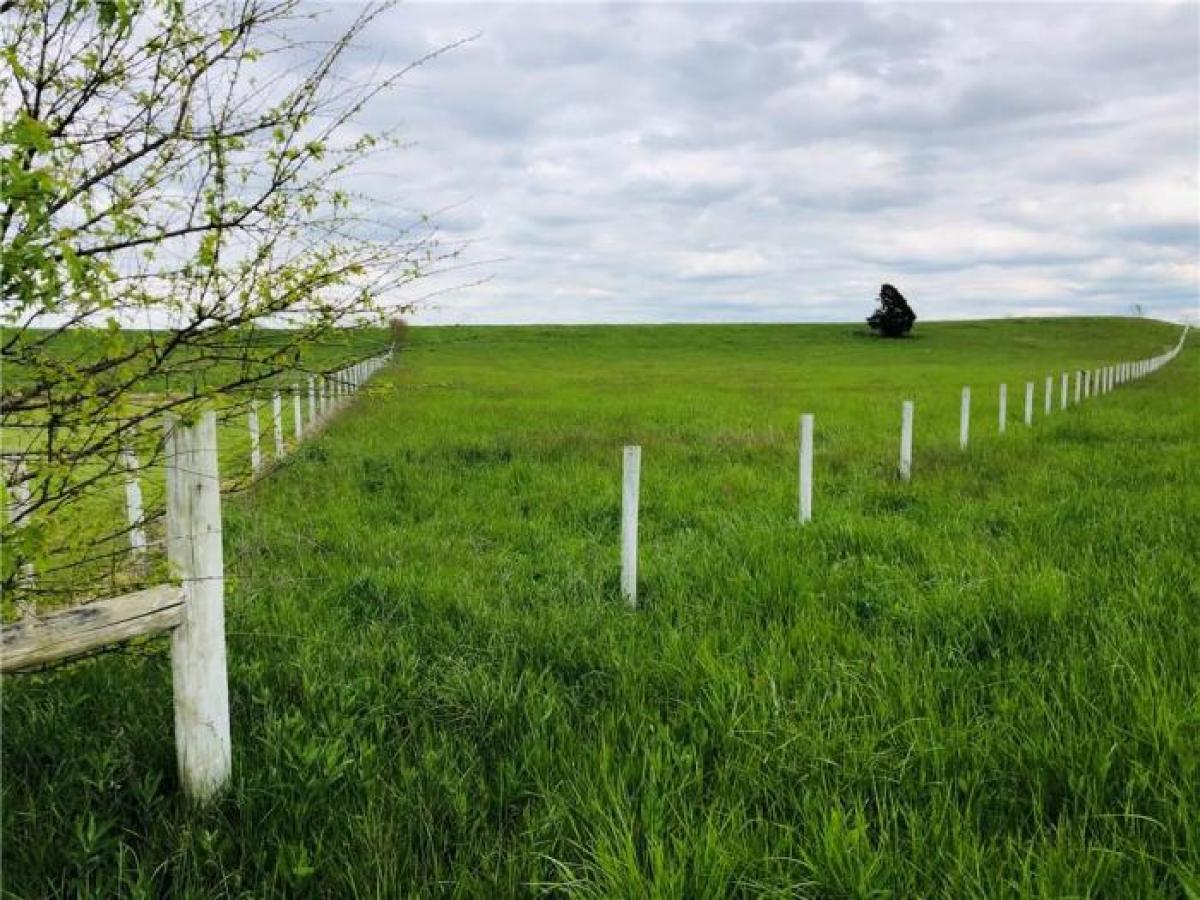 Picture of Residential Land For Sale in Stilesville, Indiana, United States