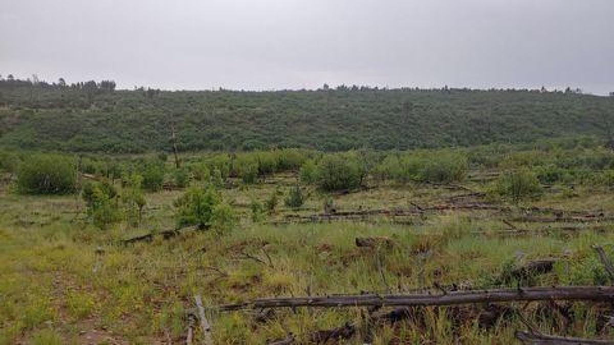 Picture of Residential Land For Sale in Estancia, New Mexico, United States