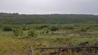 Residential Land For Sale in Estancia, New Mexico