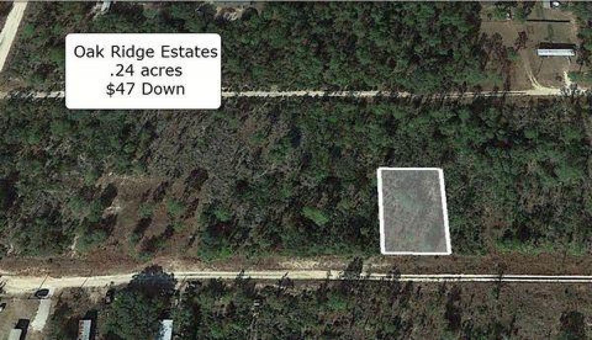 Picture of Residential Land For Sale in Williston, Florida, United States