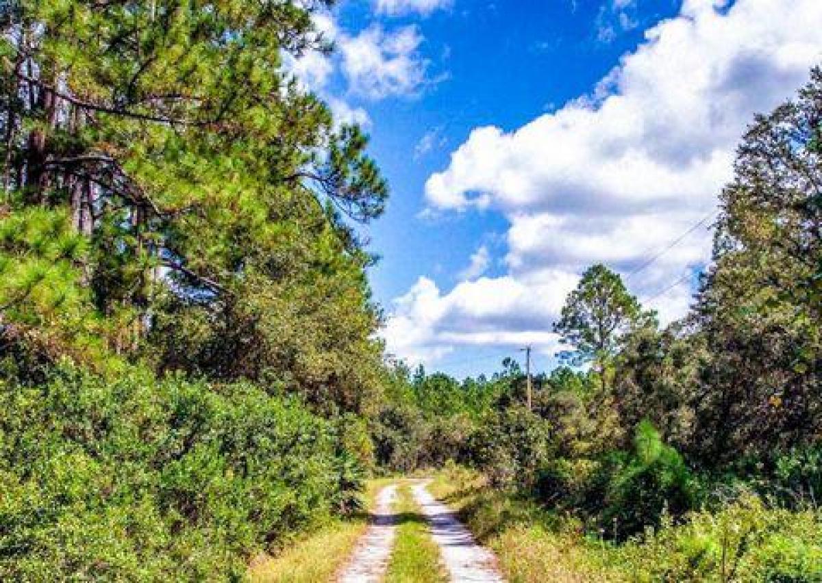 Picture of Residential Land For Sale in Georgetown, Florida, United States