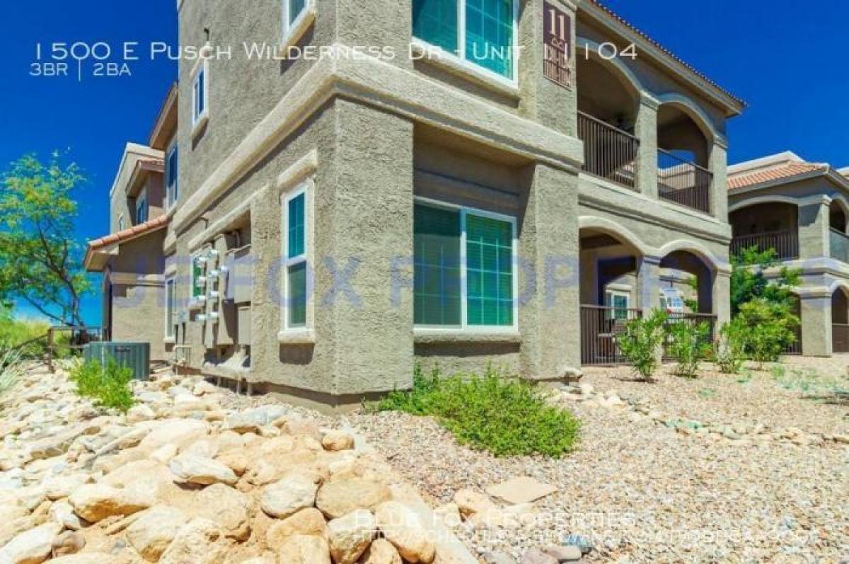 Picture of Home For Rent in Oro Valley, Arizona, United States