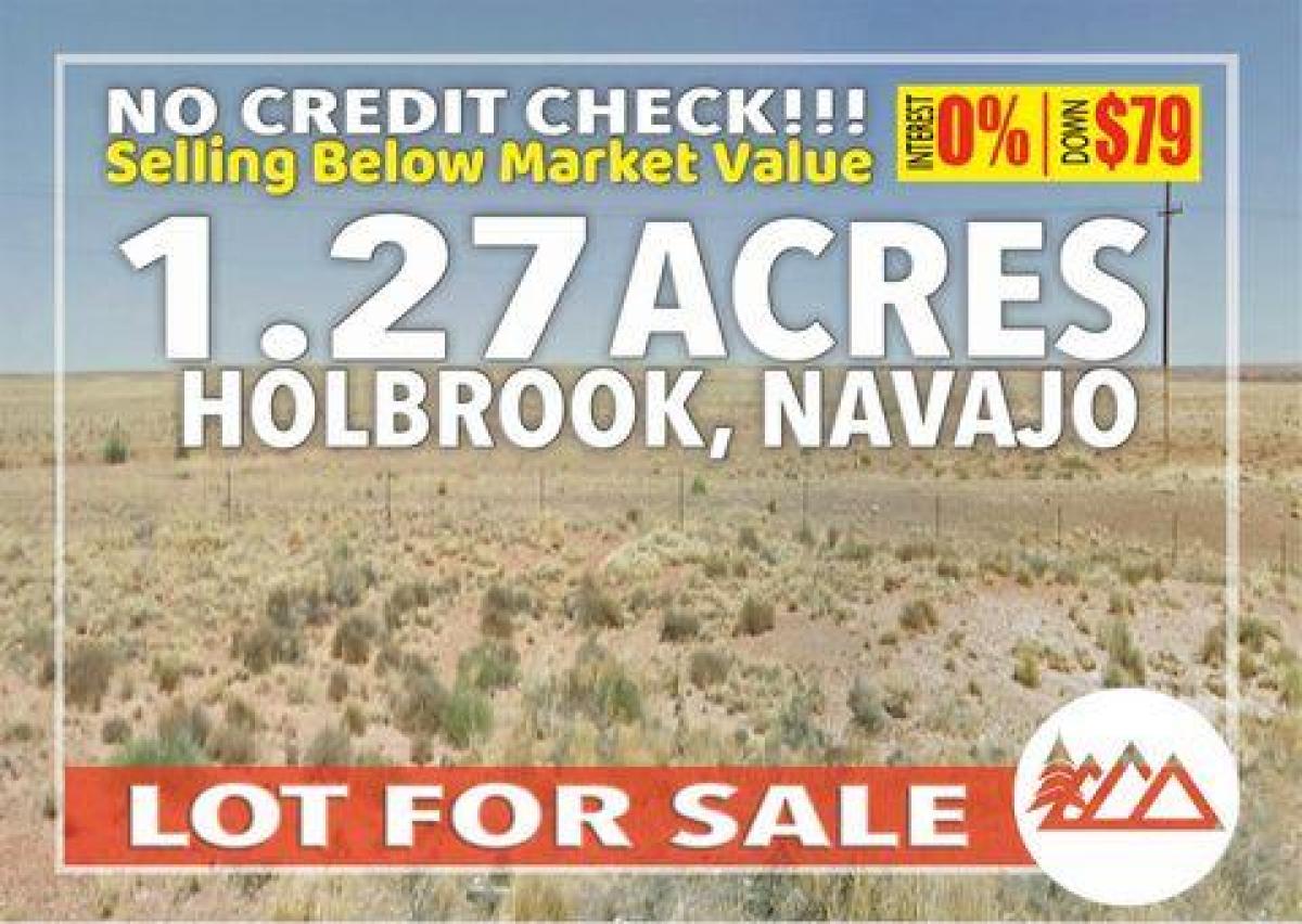 Picture of Residential Land For Sale in Holbrook, Arizona, United States