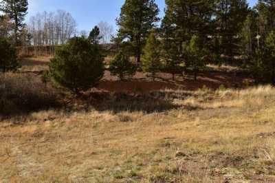 Residential Land For Sale in Divide, Colorado