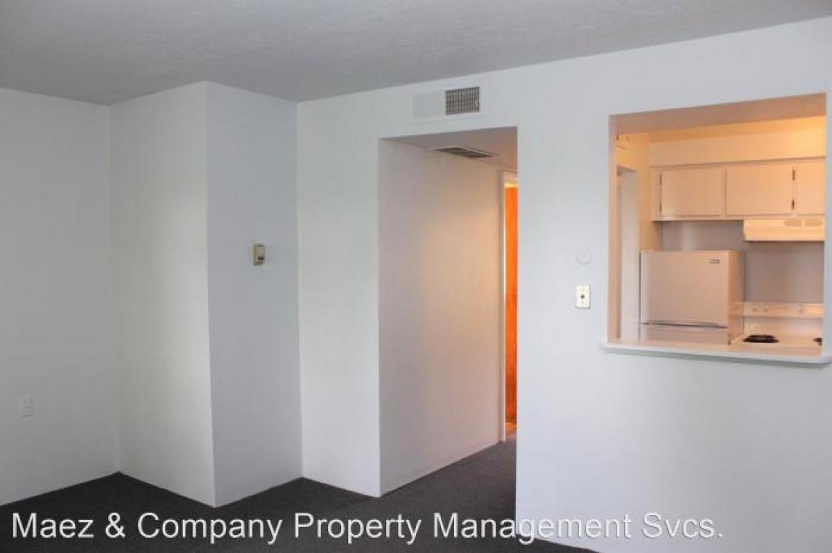 Picture of Apartment For Rent in Santa Fe, New Mexico, United States