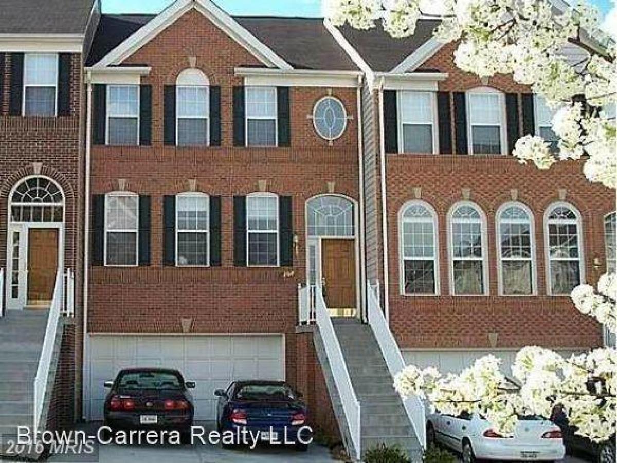 Picture of Apartment For Rent in Leesburg, Virginia, United States