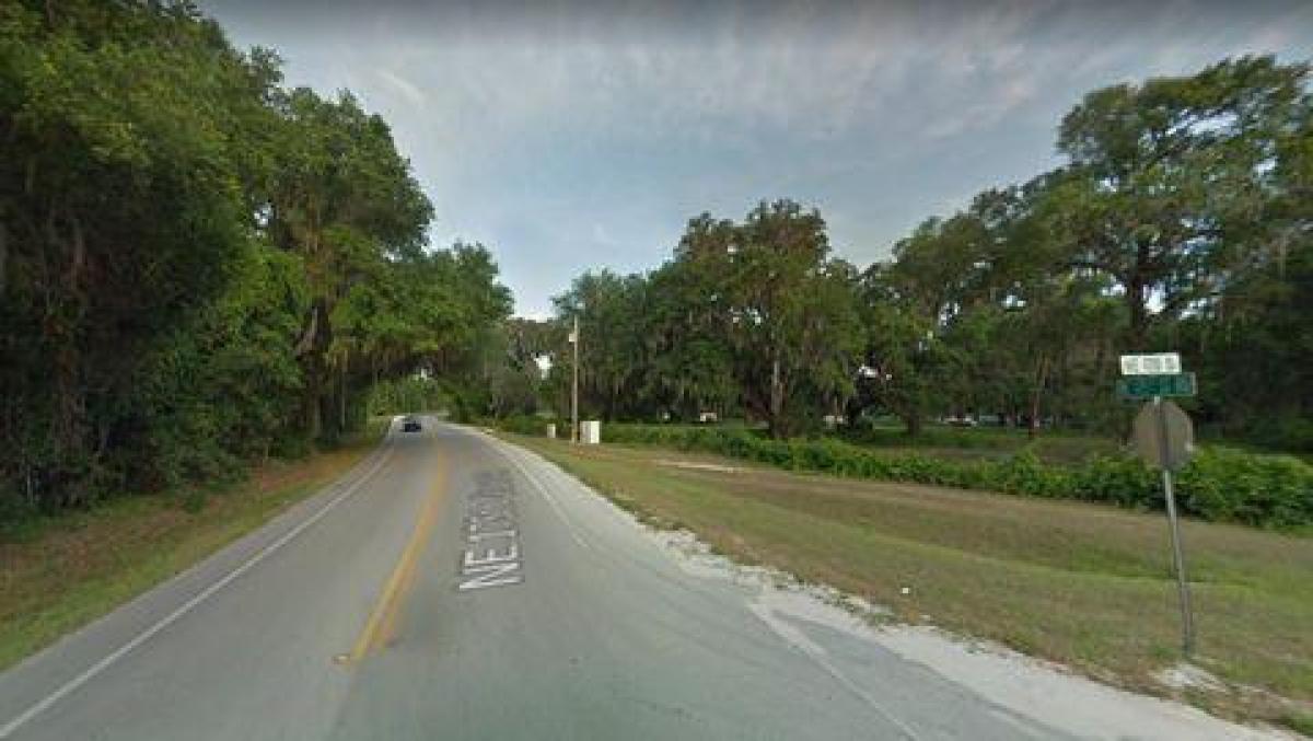 Picture of Residential Land For Sale in Citra, Florida, United States