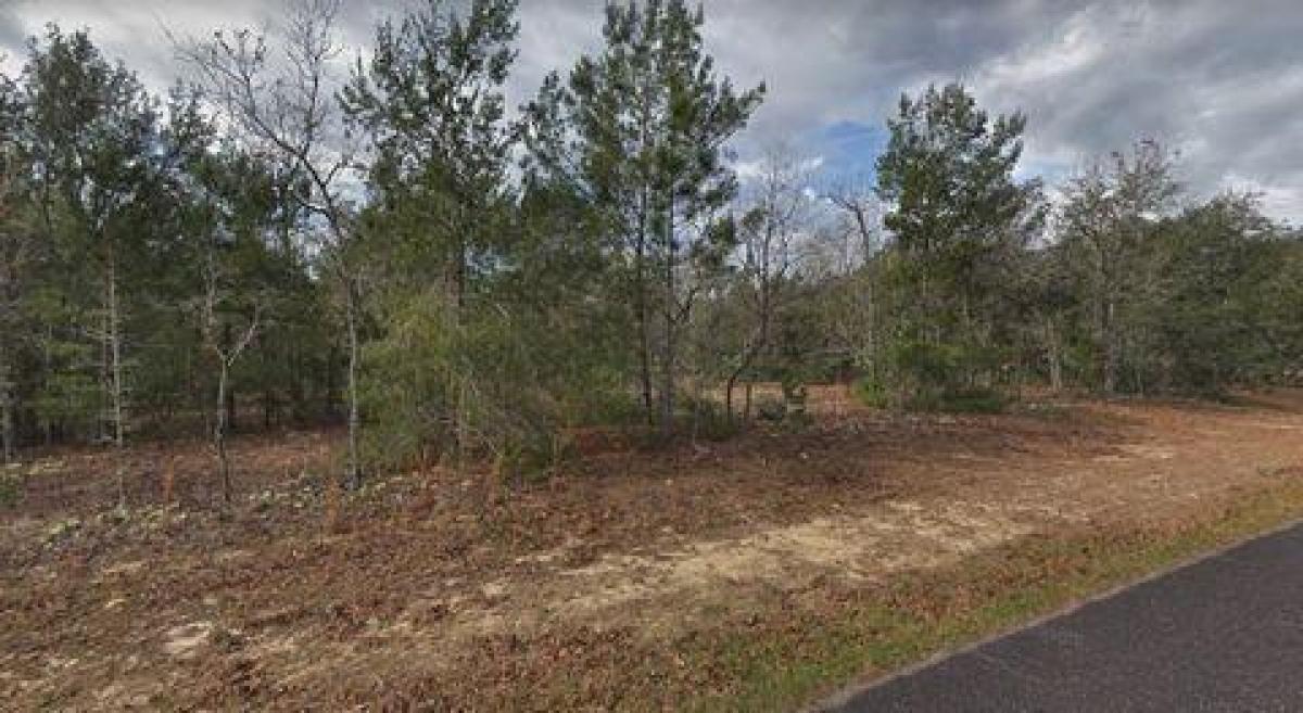 Picture of Residential Land For Sale in Keystone Heights, Florida, United States