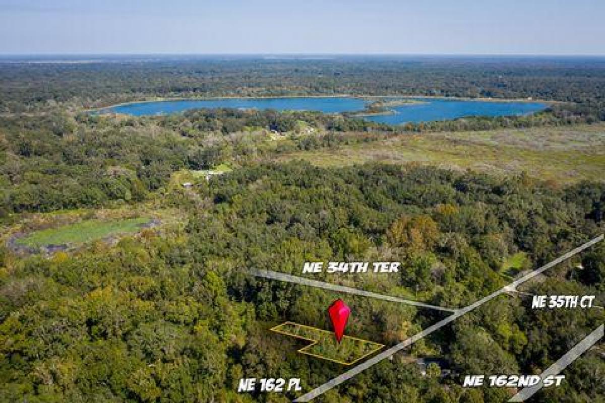 Picture of Residential Land For Sale in Citra, Florida, United States