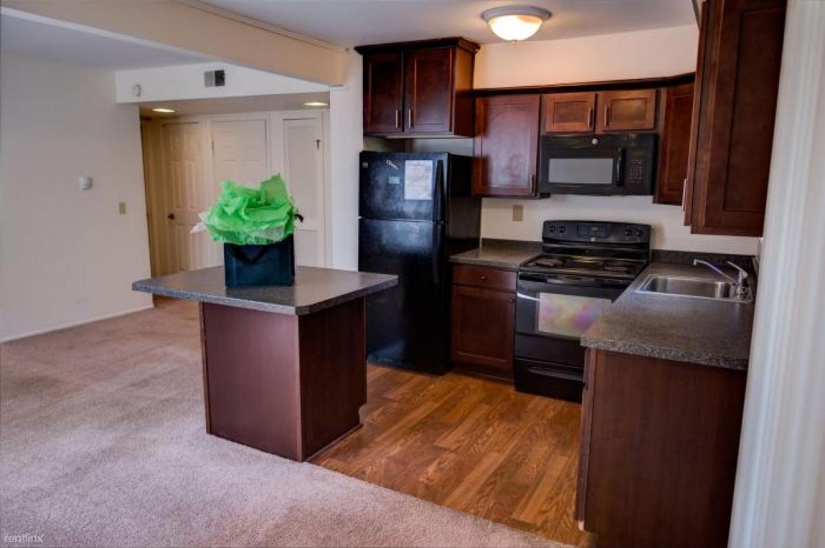 Picture of Apartment For Rent in East Lansing, Michigan, United States