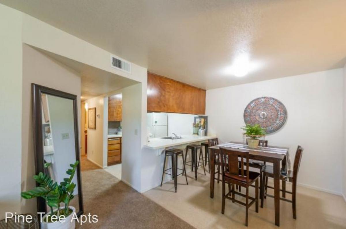 Picture of Apartment For Rent in Chico, California, United States