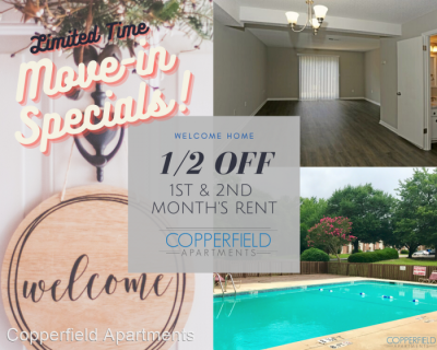 Apartment For Rent in Columbia, South Carolina