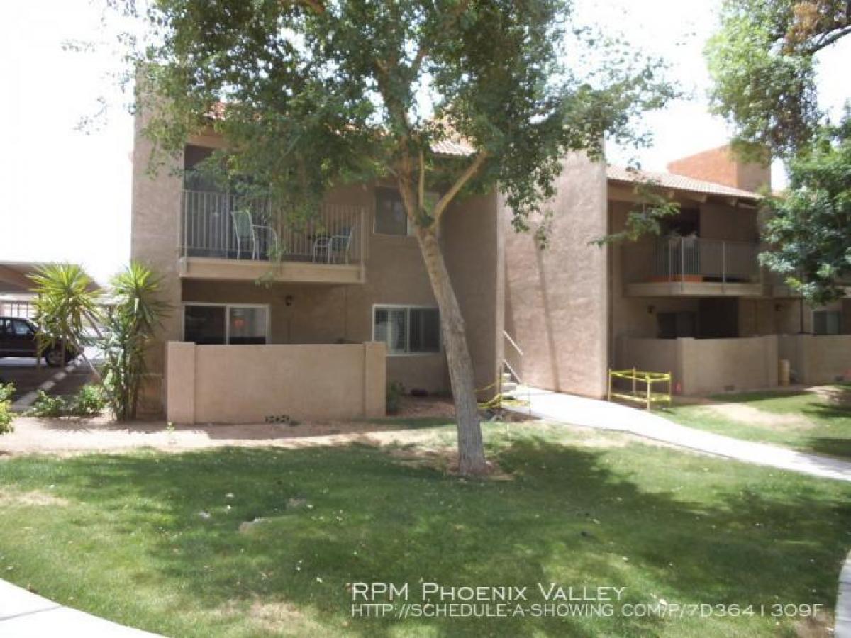 Picture of Condo For Rent in Phoenix, Arizona, United States