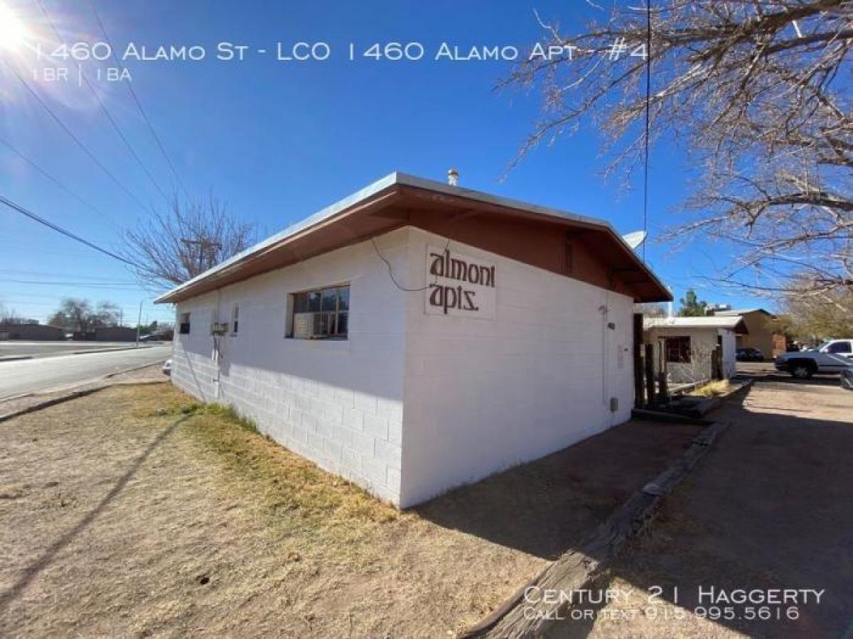 Picture of Apartment For Rent in Las Cruces, New Mexico, United States