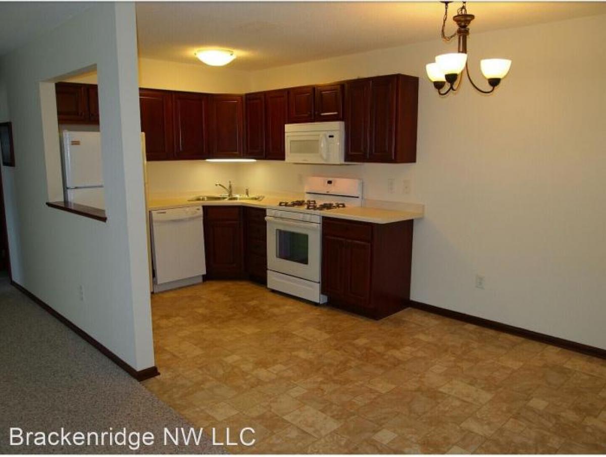 Picture of Apartment For Rent in Rochester, Minnesota, United States