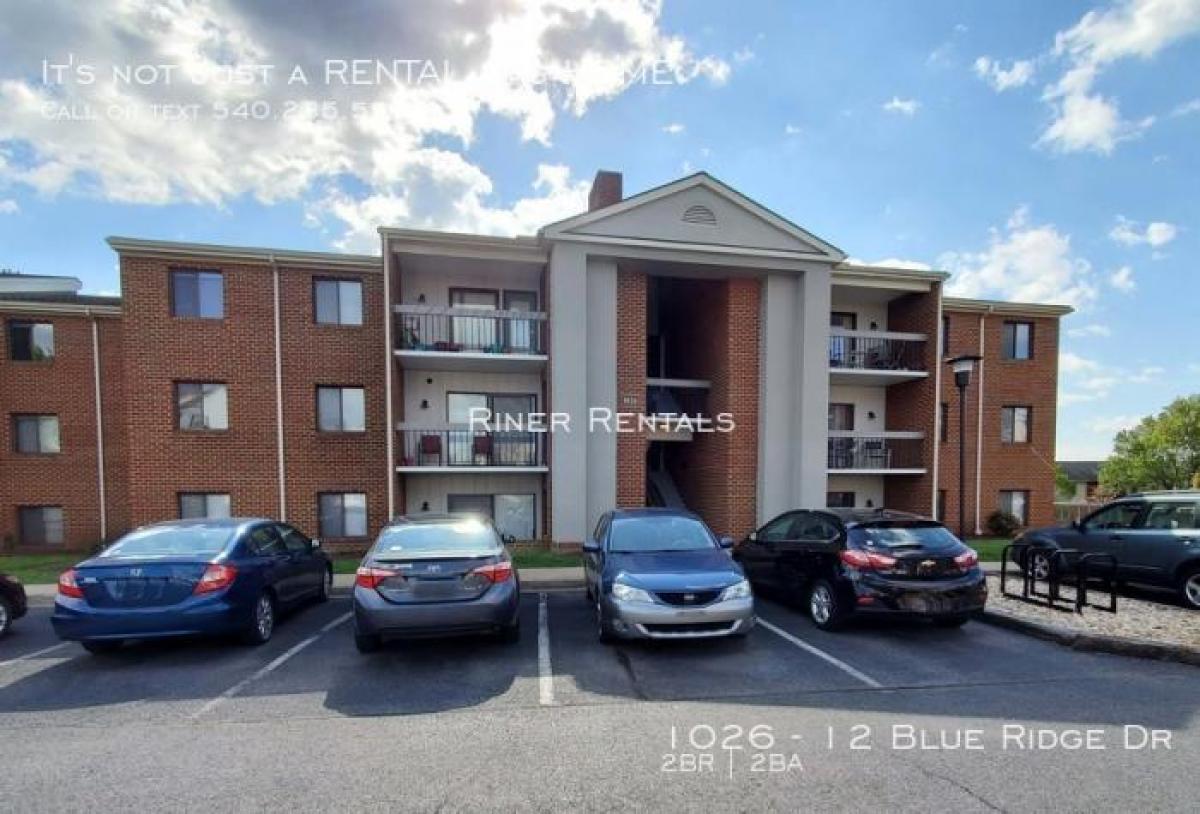 Picture of Apartment For Rent in Harrisonburg, Virginia, United States