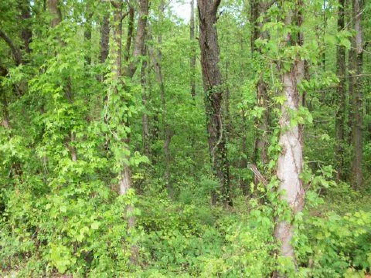 Picture of Residential Land For Sale in Douglasville, Georgia, United States