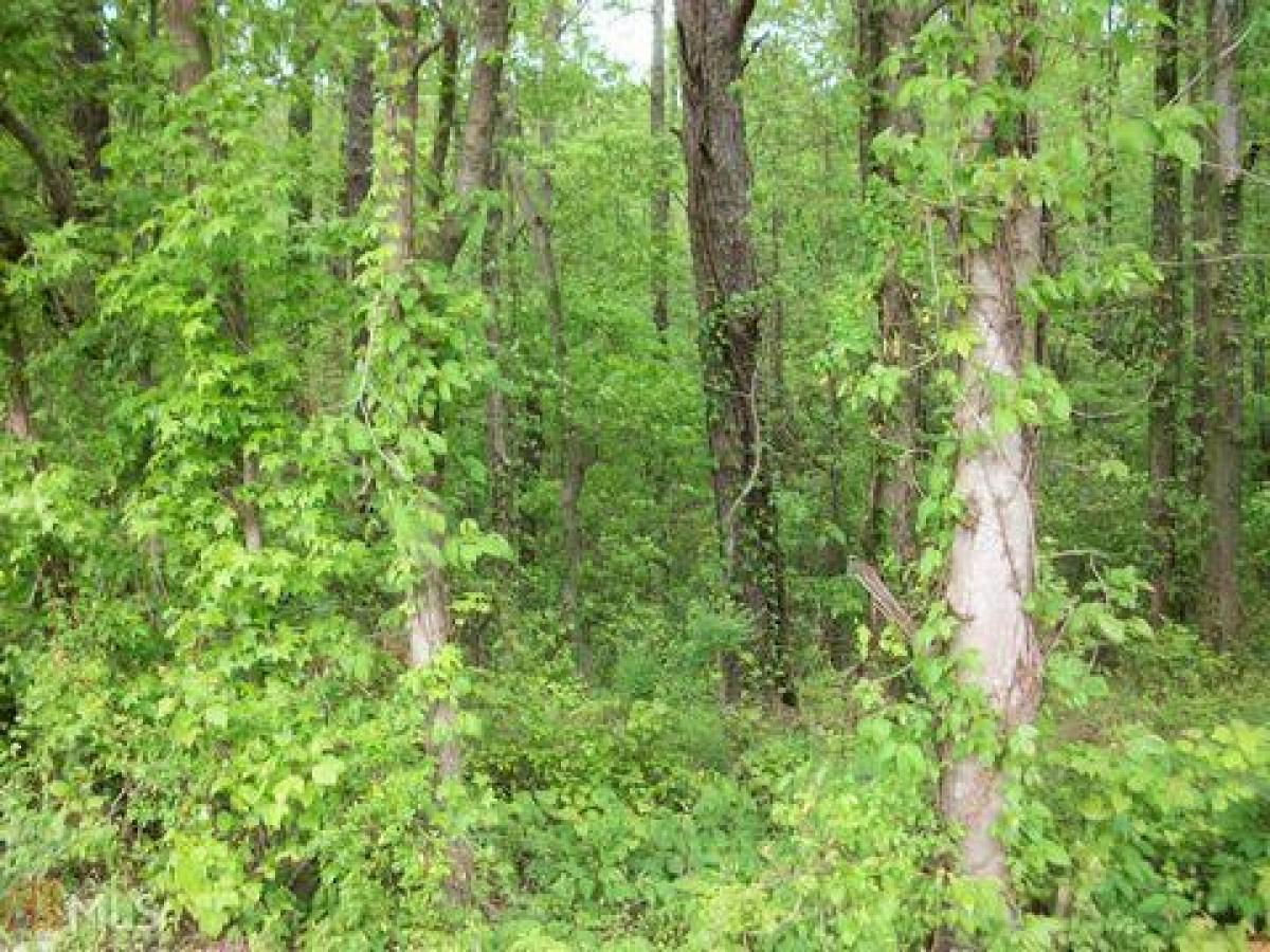 Picture of Residential Land For Sale in Douglasville, Georgia, United States