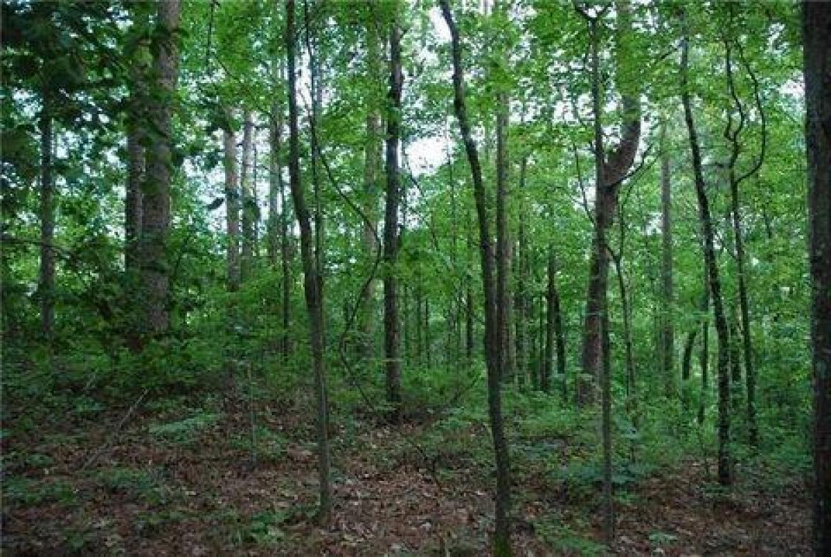 Picture of Residential Land For Sale in Canton, Georgia, United States