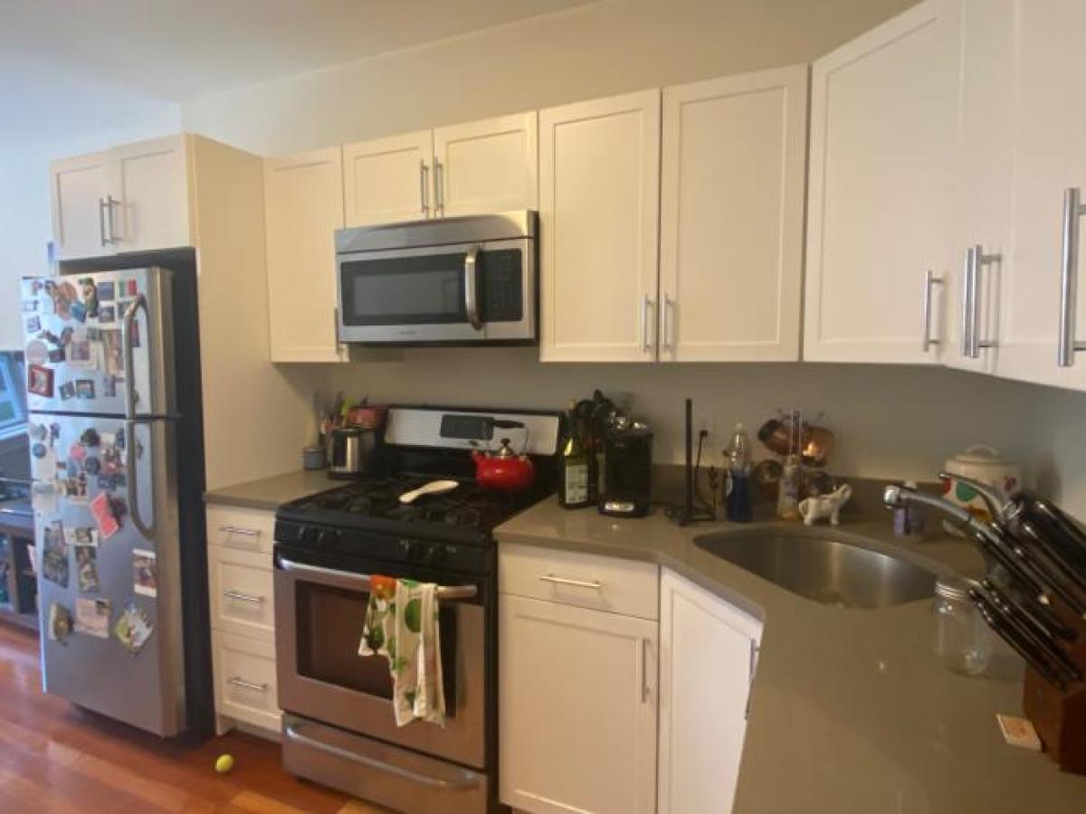 Picture of Apartment For Rent in Brookline, Massachusetts, United States