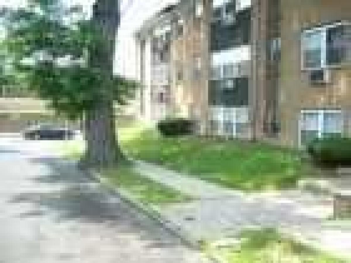 Picture of Apartment For Rent in Orange, New Jersey, United States