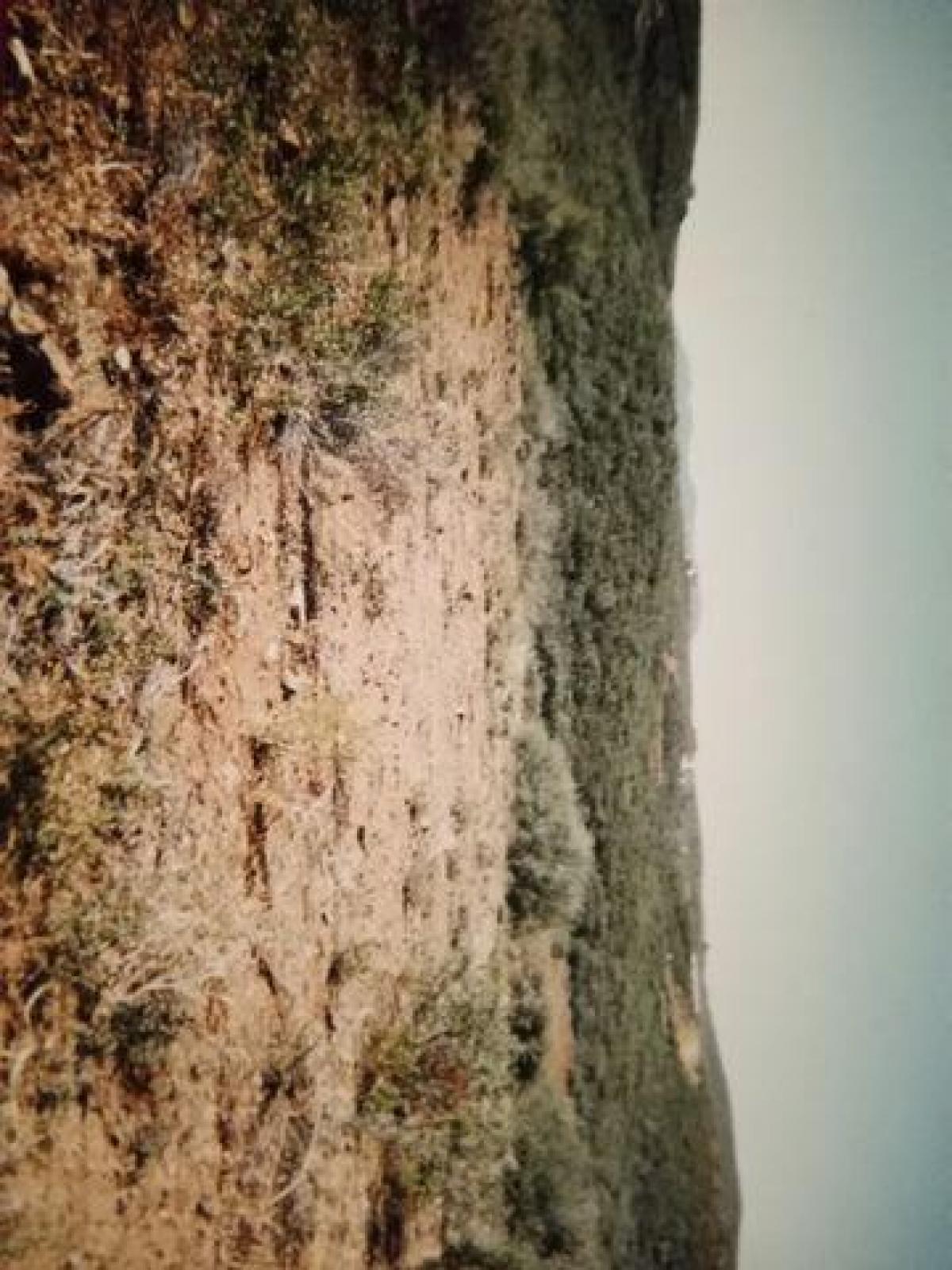 Picture of Residential Land For Sale in Mayer, Arizona, United States