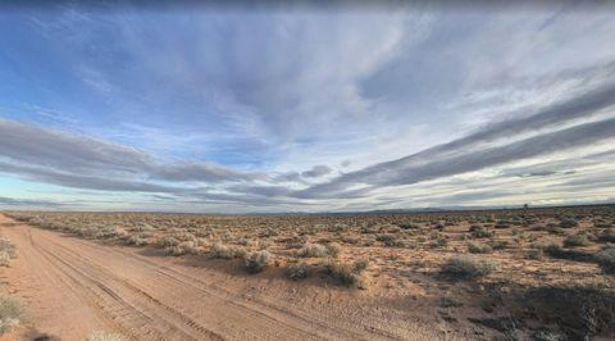 Picture of Residential Land For Sale in Helendale, California, United States