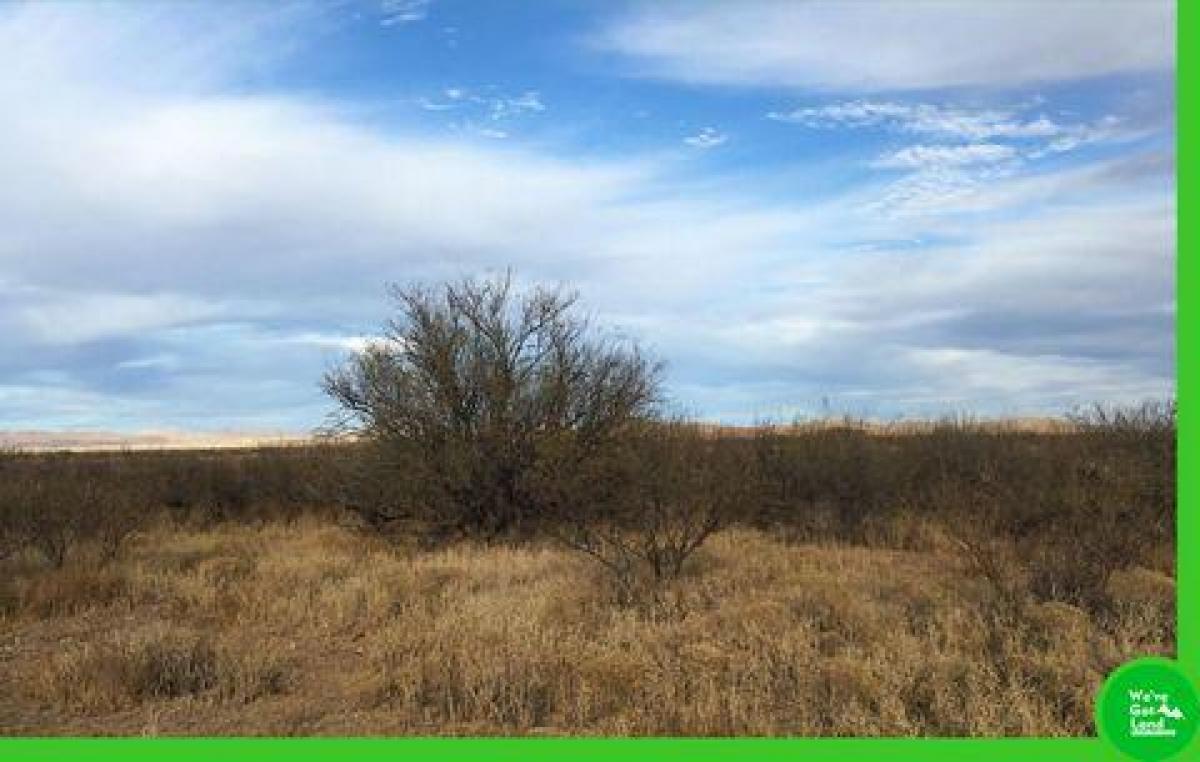 Picture of Residential Land For Sale in Willcox, Arizona, United States