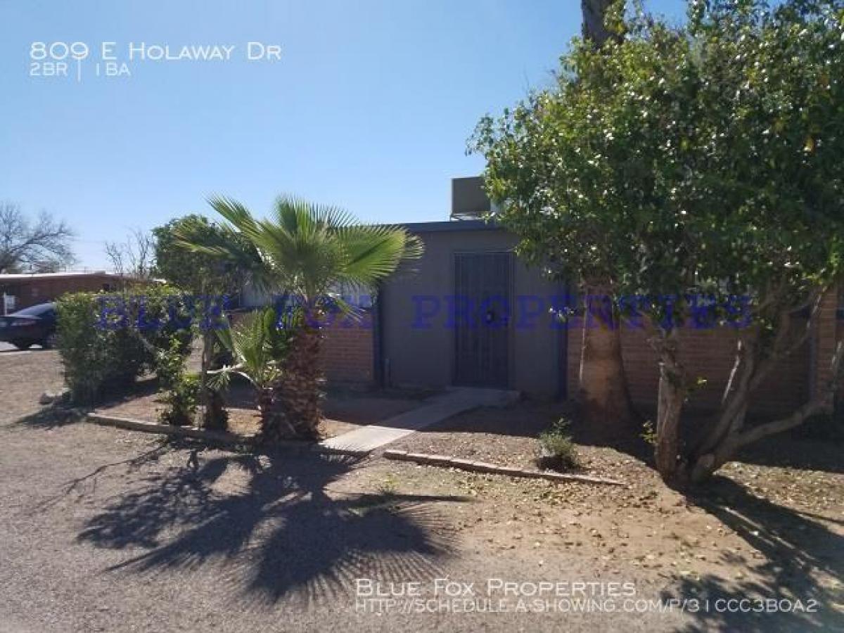 Picture of Apartment For Rent in Tucson, Arizona, United States