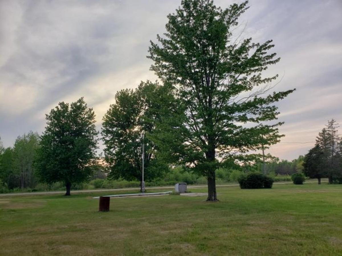 Picture of Residential Land For Sale in Grand Junction, Michigan, United States