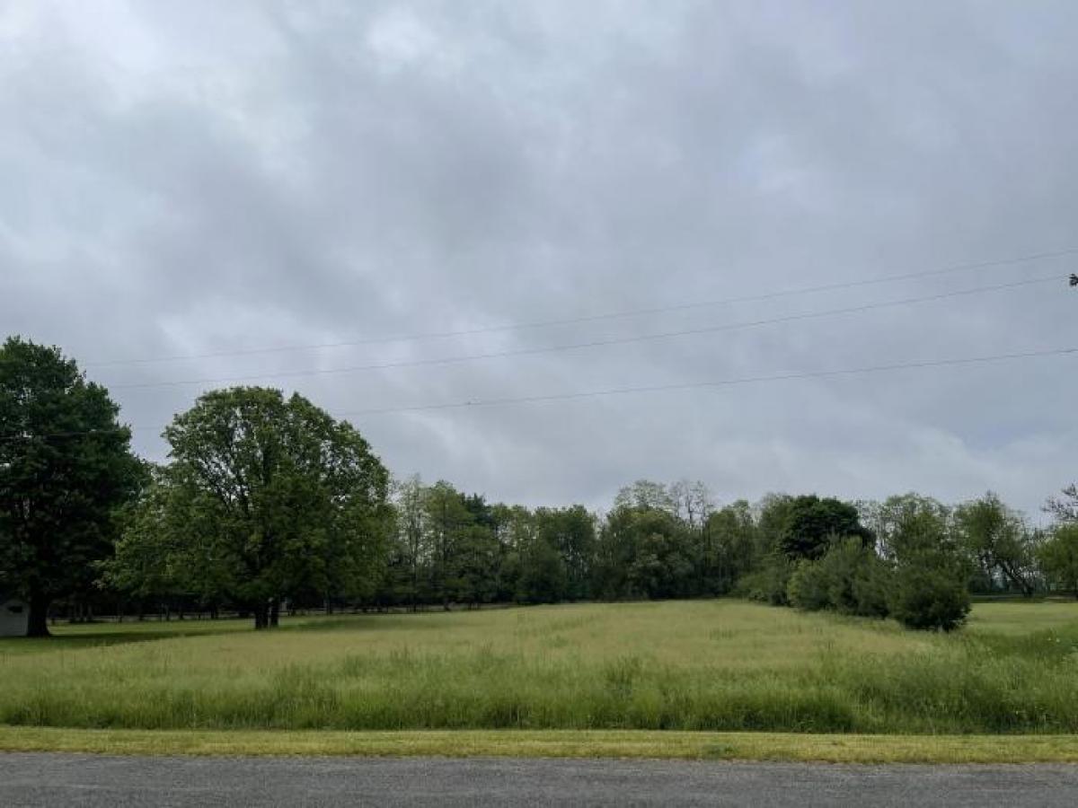 Picture of Residential Land For Sale in Climax, Michigan, United States