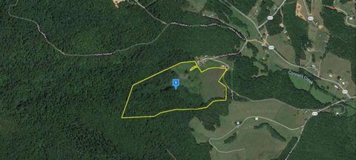 Picture of Residential Land For Sale in Woolwine, Virginia, United States