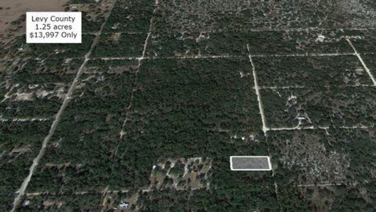 Picture of Residential Land For Sale in Bronson, Florida, United States