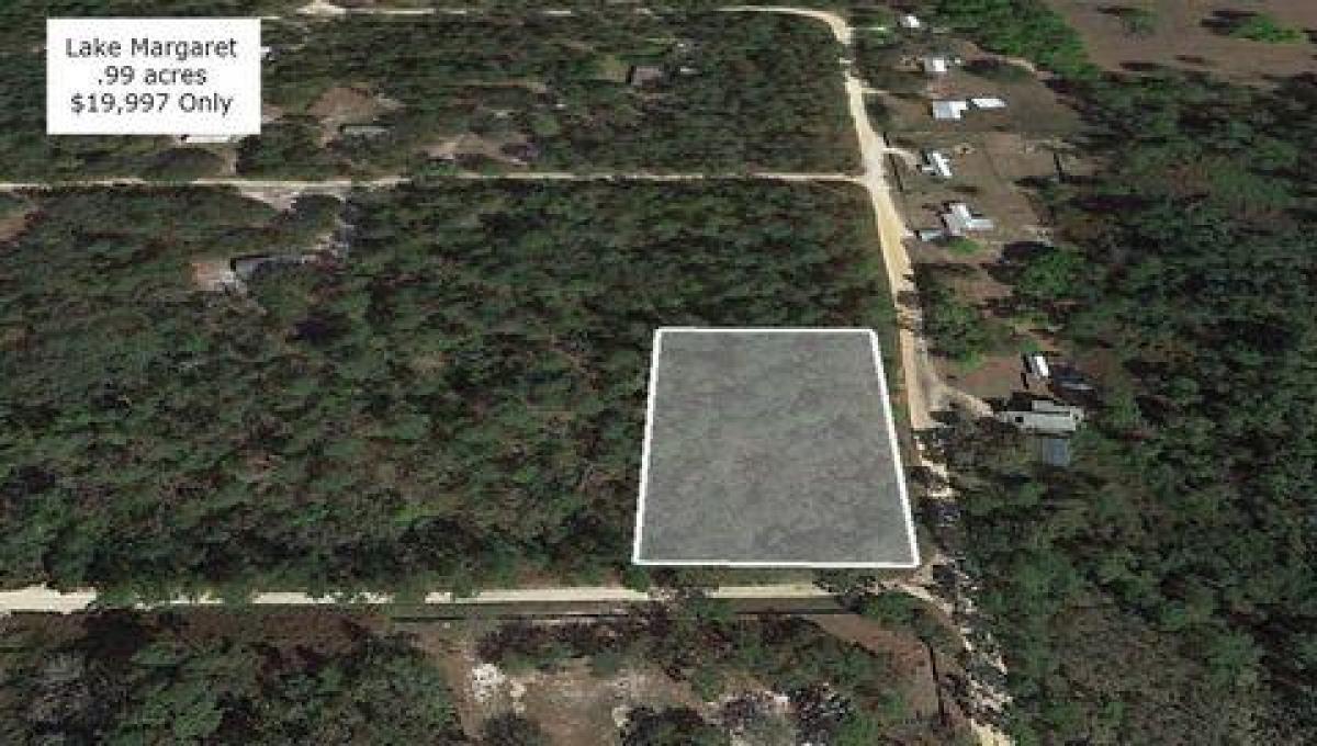 Picture of Residential Land For Sale in Pomona Park, Florida, United States