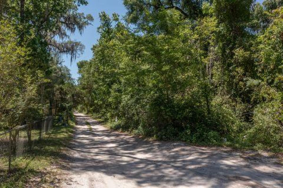 Picture of Residential Land For Sale in Citra, Florida, United States