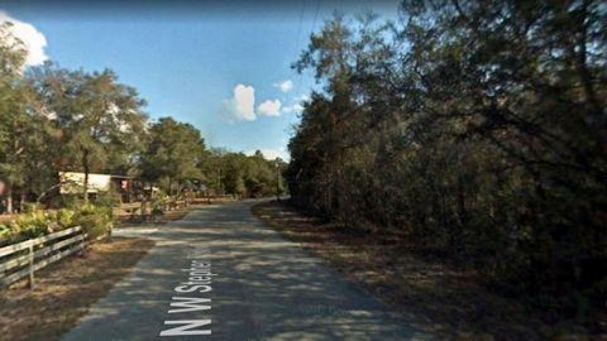 Picture of Residential Land For Sale in White Springs, Florida, United States