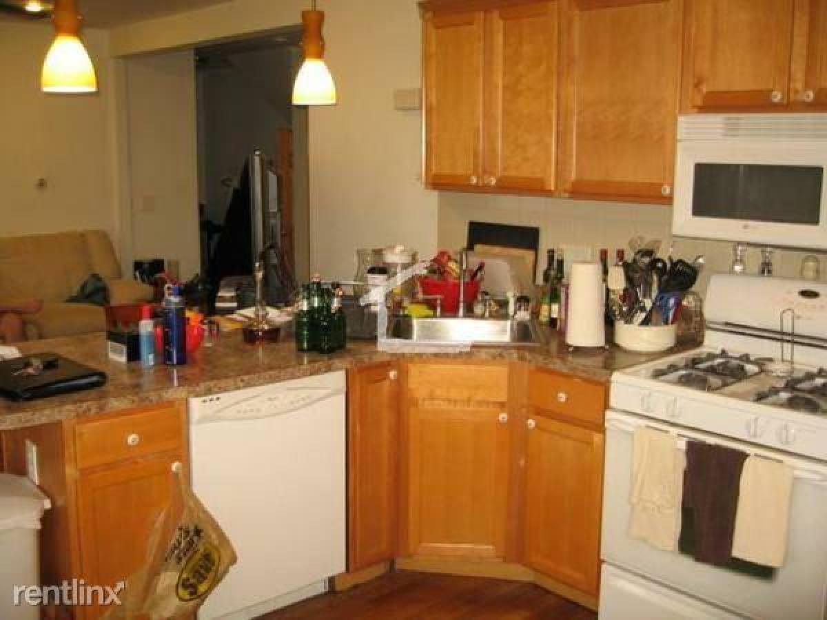 Picture of Apartment For Rent in Allston, Massachusetts, United States