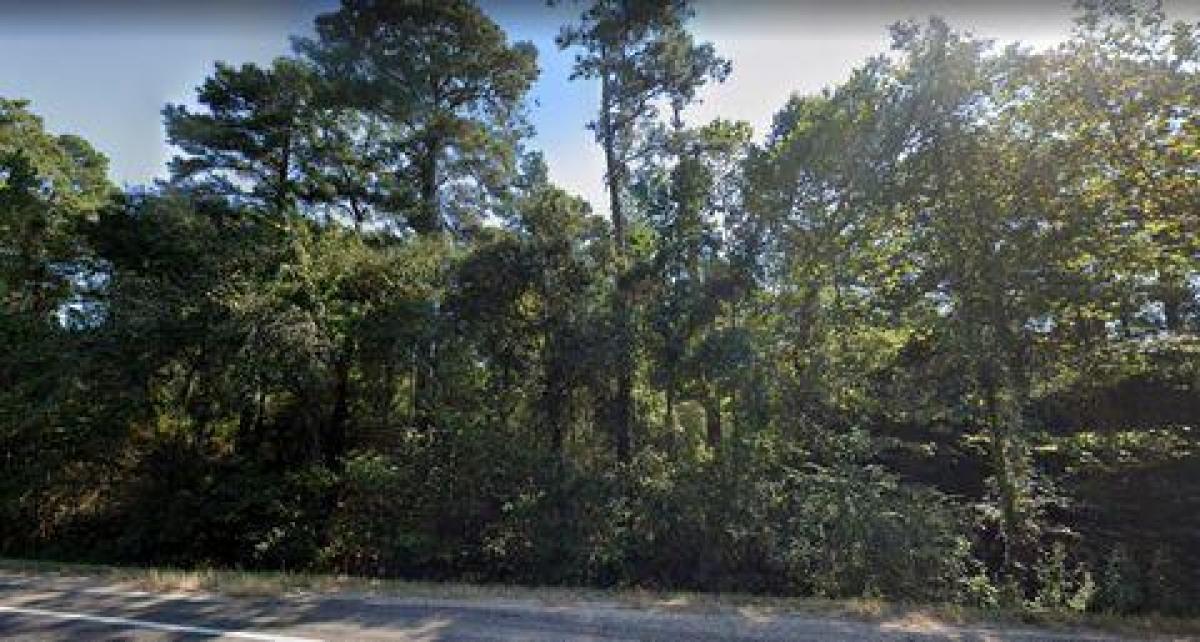 Picture of Residential Land For Sale in Plantersville, Texas, United States