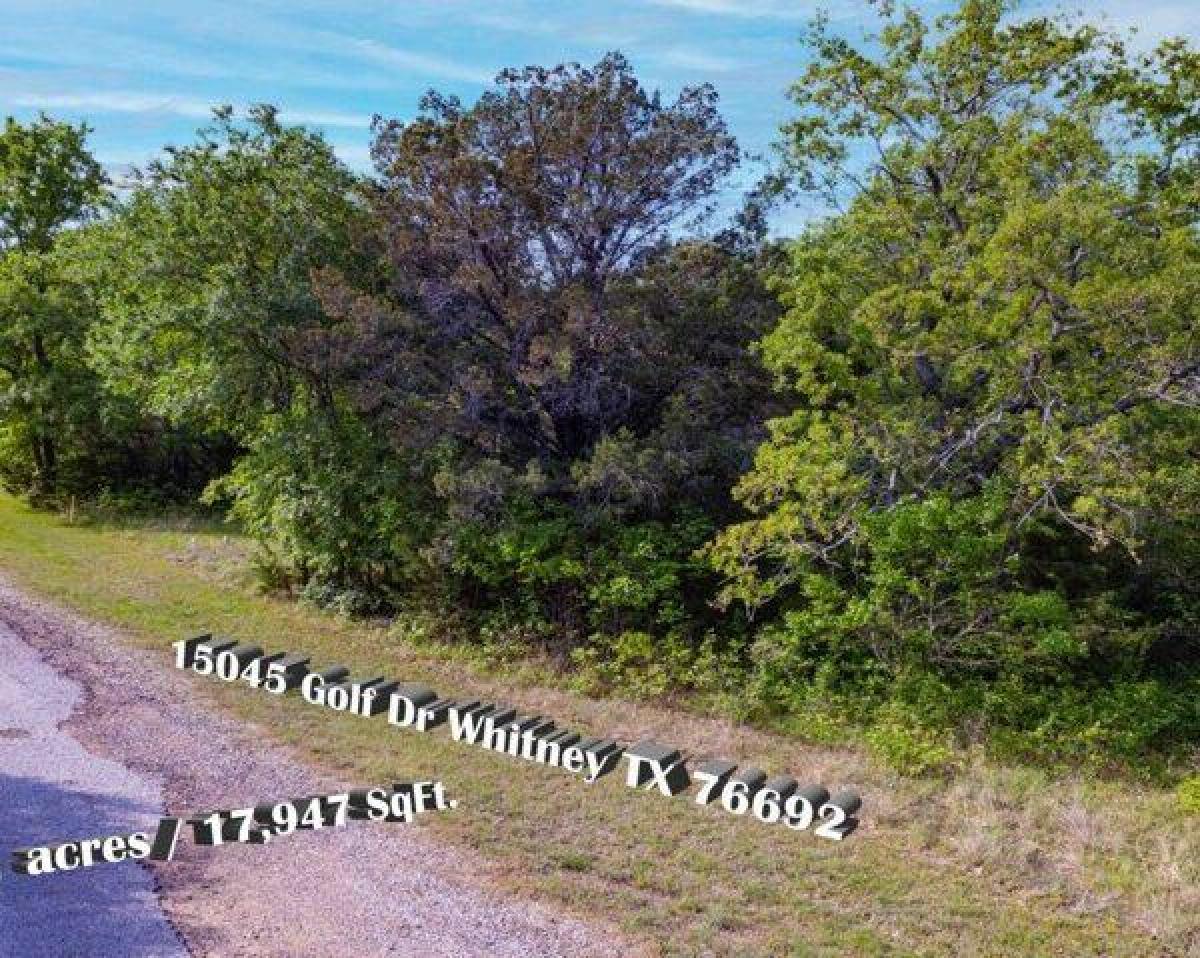 Picture of Residential Land For Sale in Whitney, Texas, United States