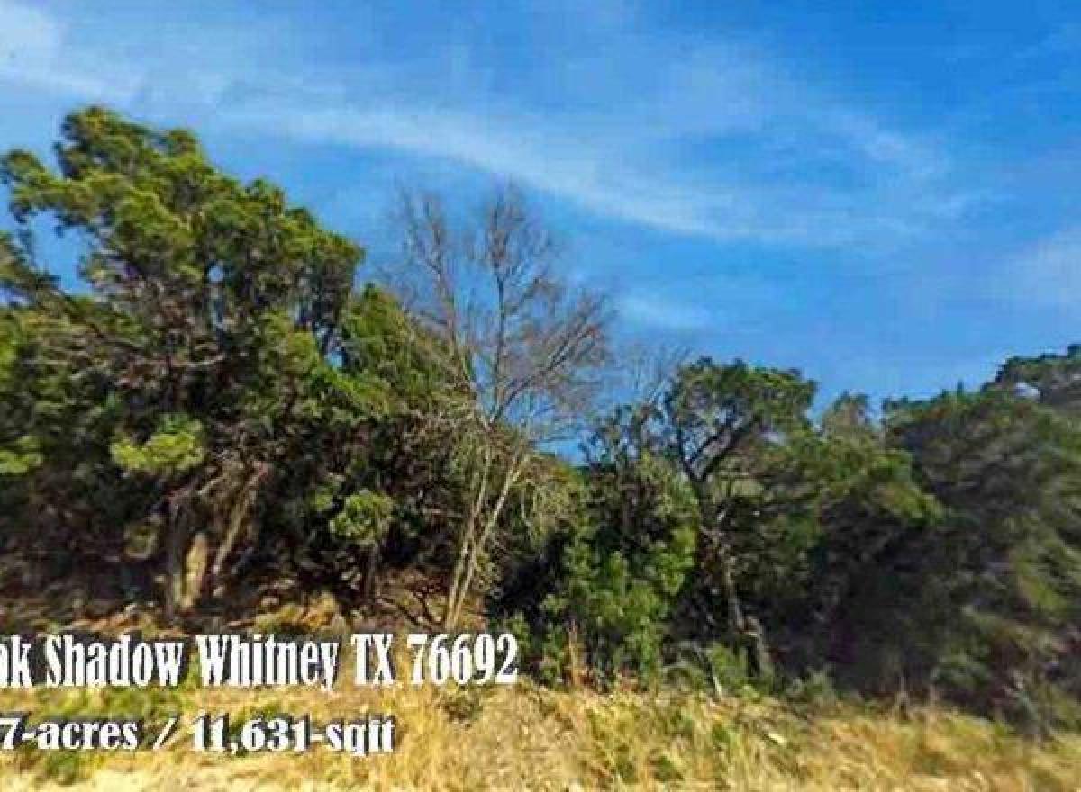 Picture of Residential Land For Sale in Whitney, Texas, United States