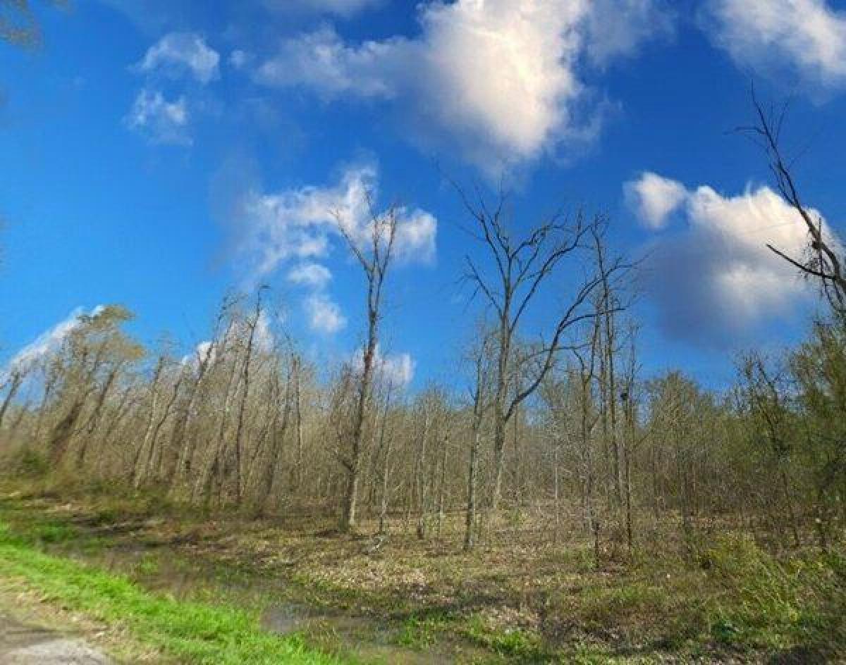 Picture of Residential Land For Sale in Liberty, Texas, United States