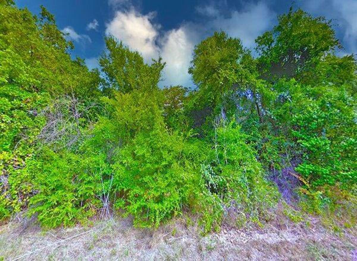 Picture of Residential Land For Sale in Eustace, Texas, United States