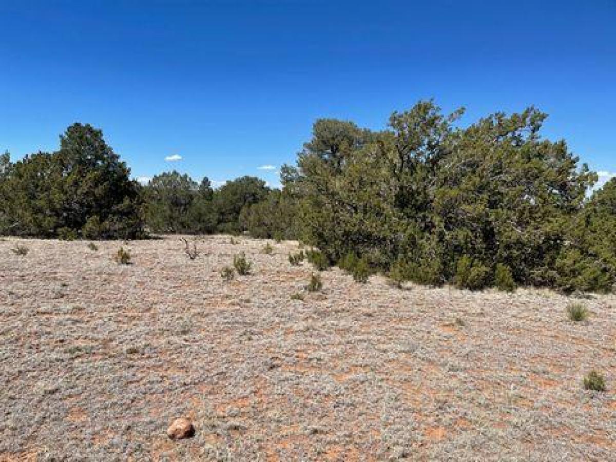 Picture of Residential Land For Sale in Mountainair, New Mexico, United States