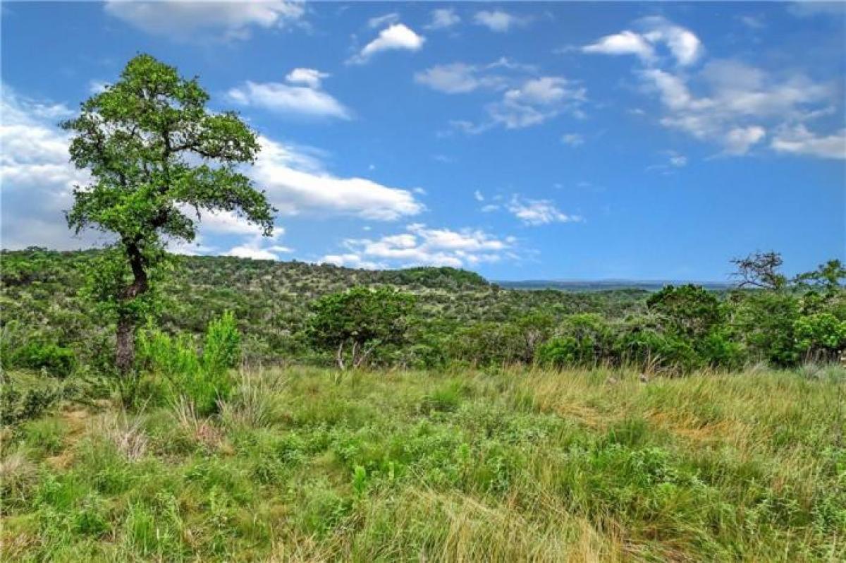 Picture of Residential Land For Sale in Dripping Springs, Texas, United States