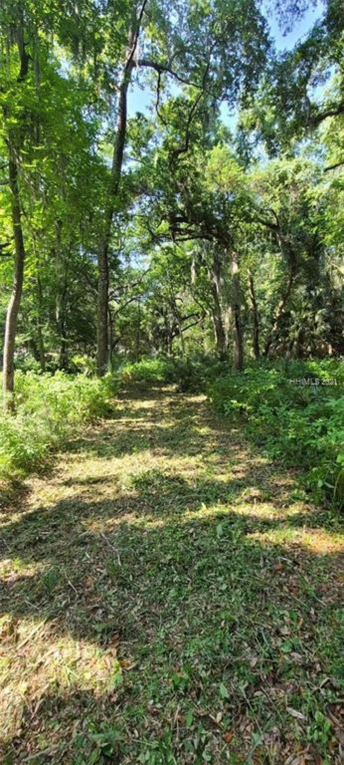 Picture of Residential Land For Sale in Okatie, South Carolina, United States