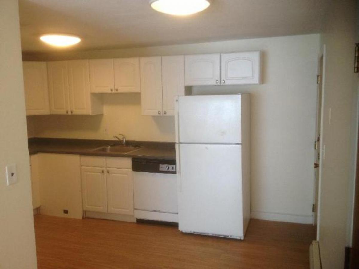 Picture of Apartment For Rent in Brighton, Massachusetts, United States