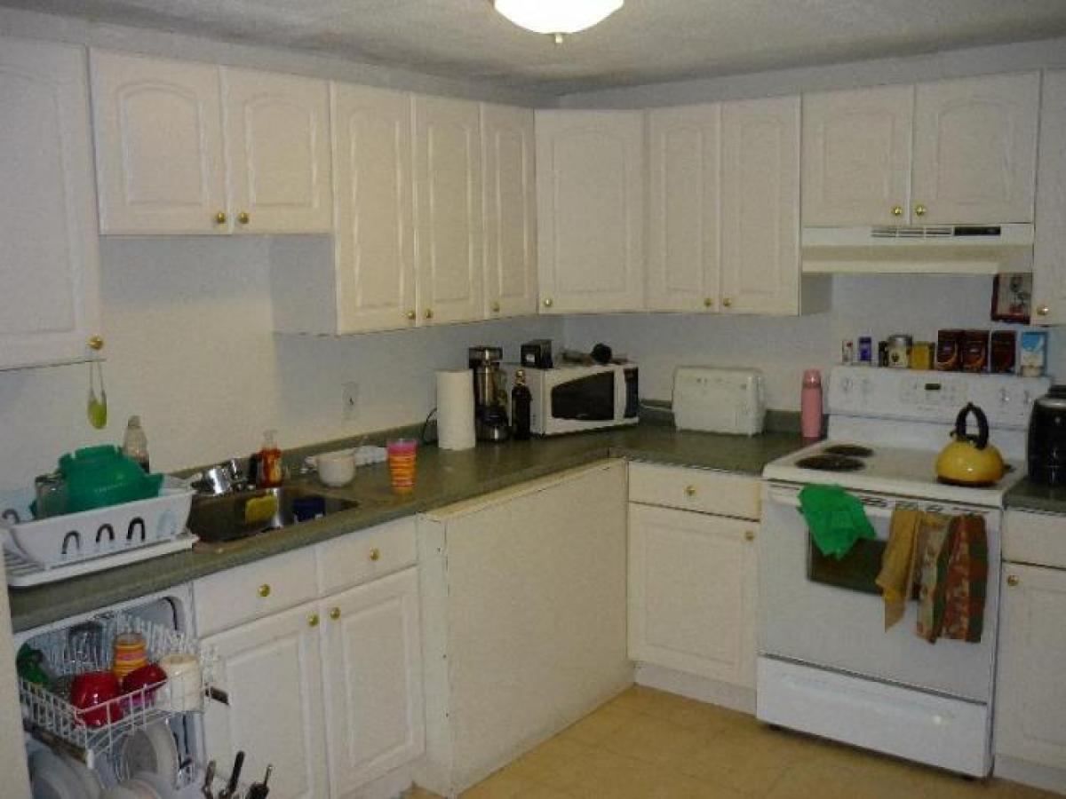 Picture of Apartment For Rent in Brighton, Massachusetts, United States