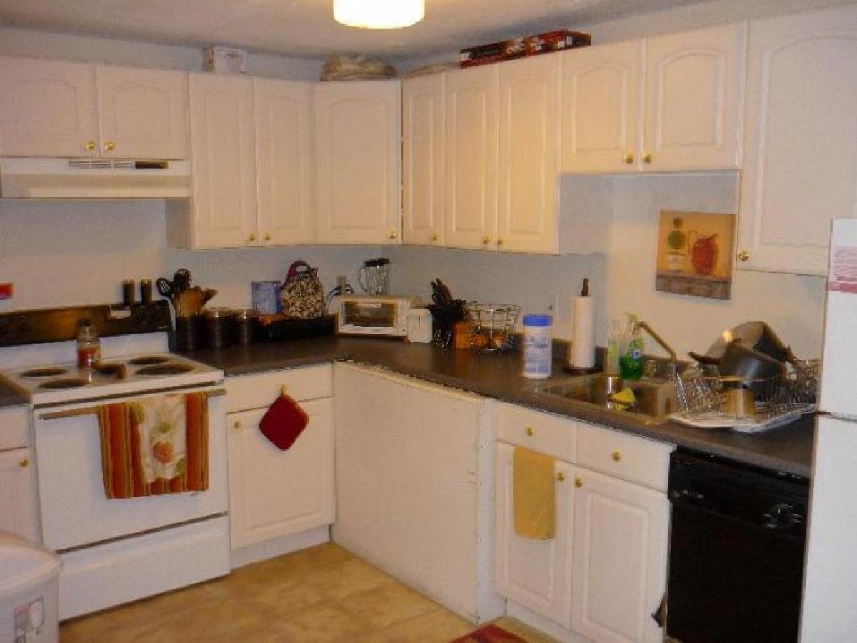 Picture of Apartment For Rent in Brighton, Massachusetts, United States